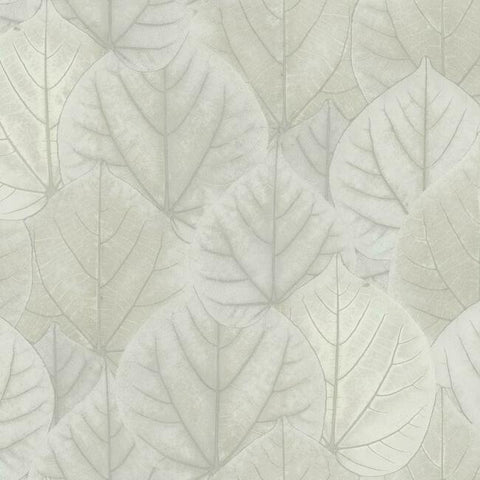 OS4246 Gray Leaf Concerto Wallpaper