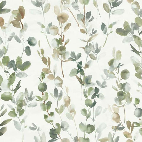 OS4311 Green Joyful Eucalyptus Wallpaper