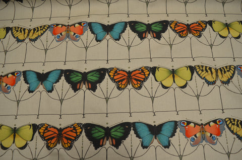 Papillon Carnival fabric