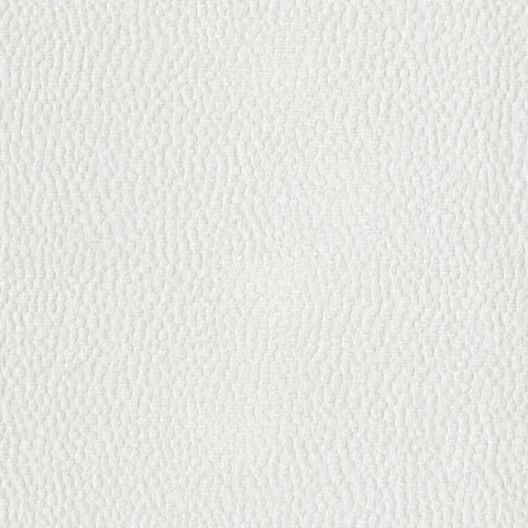 Spotty Dotty White P/K Lifestyles Fabric