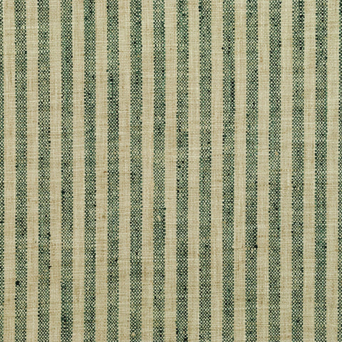 Swift Malachite P Kaufmann Fabric