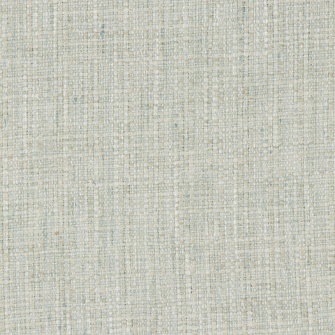 Tenet Caribe Swavelle Mill Creek Fabric