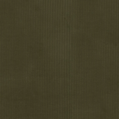 Wales Moss P/K Lifestyles Fabric