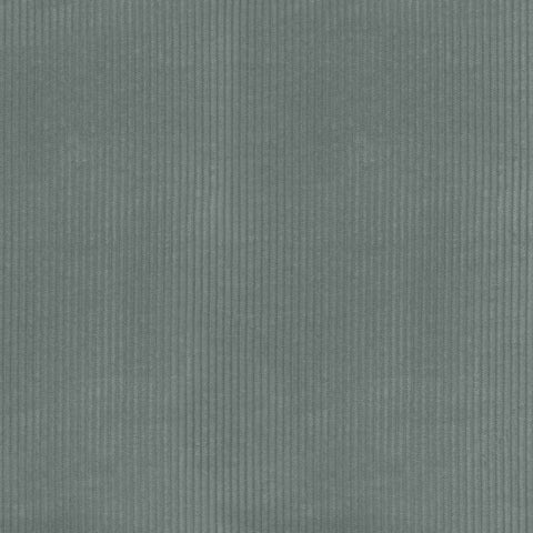 Wales Nickel P/K Lifestyles Fabric