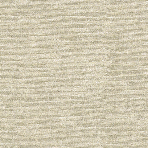 Windham Birch P/K Lifestyles Fabric