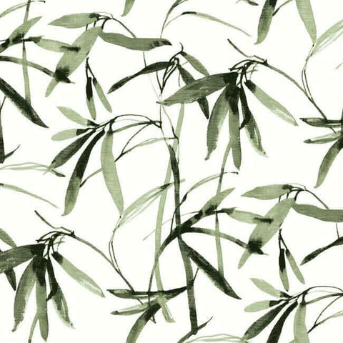 BW3842 Green Black Bamboo Ink Wallpaper