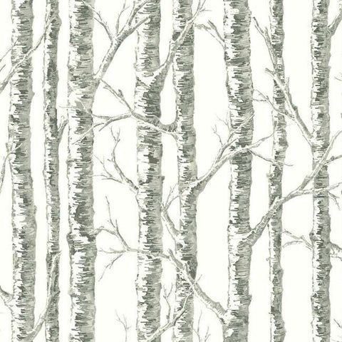 BW3901 White Gray Paper Birch Wallpaper