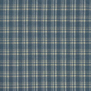 Clyde 410720 CASPIAN PK Lifestyles Fabric