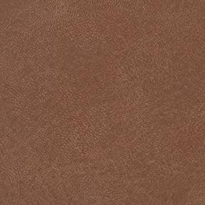 Seabreeze 860 Ginseng Brown Fabric