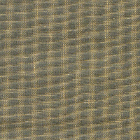 2732-80000 Leyte Pewter Grasscloth Wallpaper