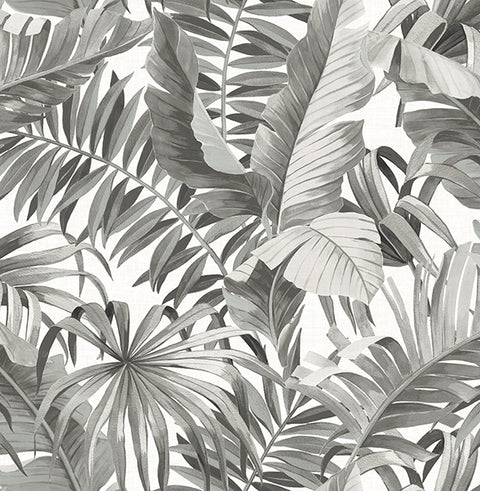 2744-24134 Alfresco Black Palm Leaf Wallpaper