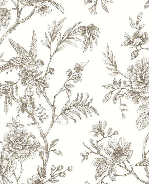 2763-24236 Jessamine Taupe Floral Trail Wallpaper
