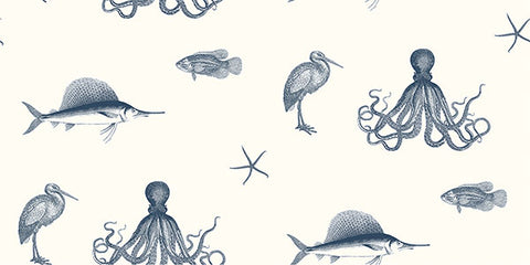 Ventura Navy Sea Creature Wallpaper