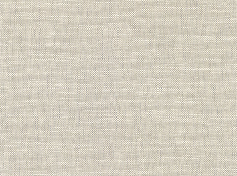 2829-82059 In the Loop Neutral Faux Grasscloth Wallpaper