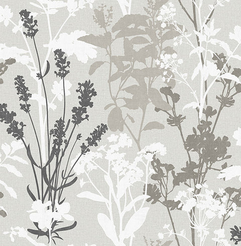 2836-24571 Desdemona Multicolor Floral Silhouettes Wallpaper
