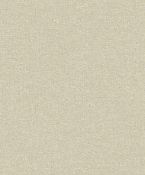 2838-IH2103 Adalynn Beige Texture Wallpaper