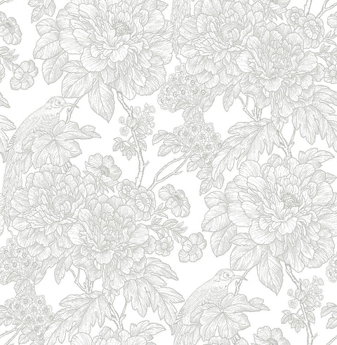 2901-25412 Birds of Paraside Breeze Grey Floral Wallpaper