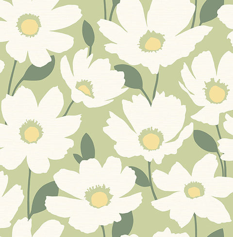 2904-25677 Astera Green Floral Wallpaper