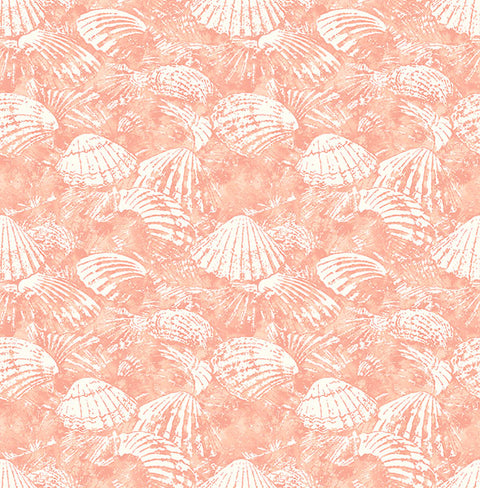 2904-25689 Surfside Coral Shells Wallpaper