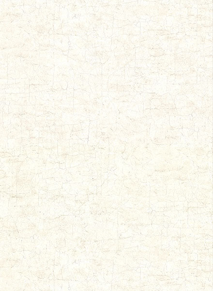 2921-51117 Pembroke Cream Faux Plaster Wallpaper