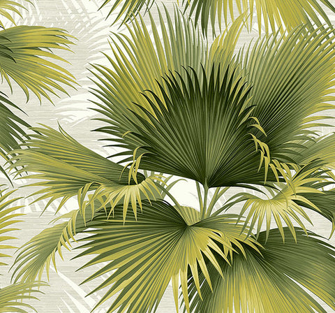 2927-40114 Summer Palm Green Tropical Wallpaper