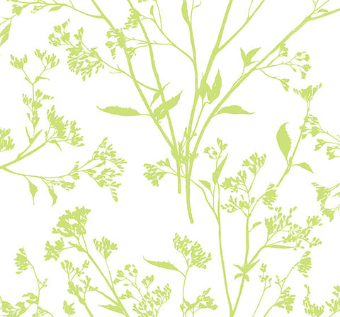2927-80704 Southport Chartreuse Delicate Branches Wallpaper