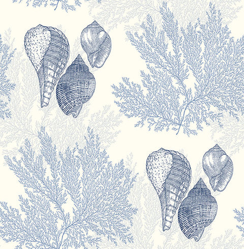 2927-81202 Nauset Blue Seashell Shores Wallpaper