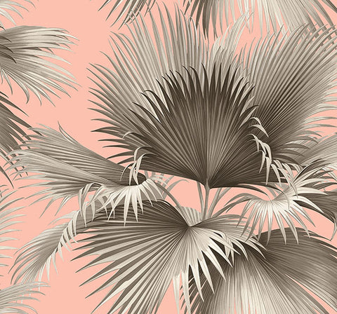 2927-81901 Summer Palm Blush Tropical Wallpaper