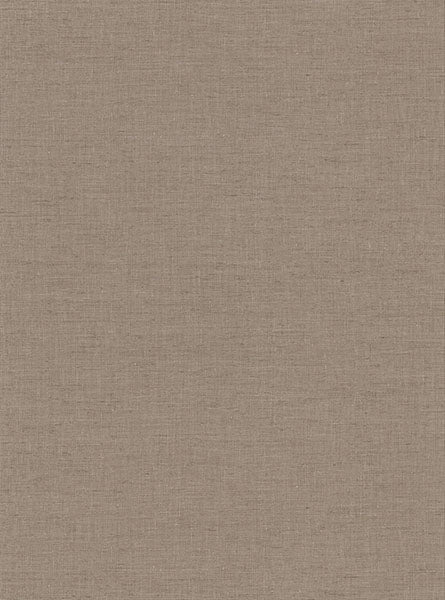 2945-1107 Avatar Linen Brown Texture Wallpaper