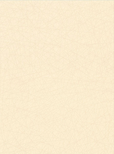 2945-4002 Allover Stix Champagne Geometric Wallpaper