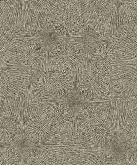 2959-SDM04003 Zion Coffee Starburst Wallpaper