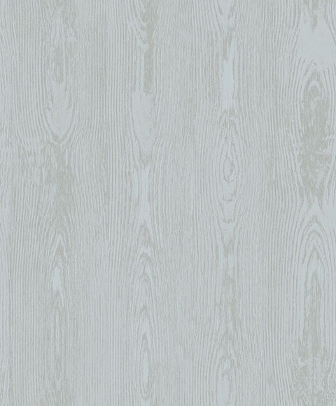 2959-SDM2004 Jaxson Teal Faux Wood Wallpaper