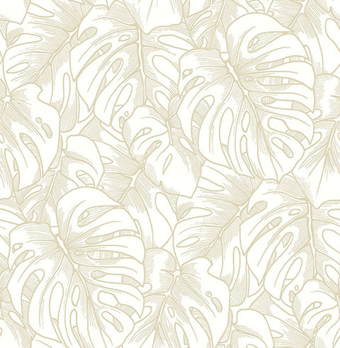 2964-87341 Balboa Gold Botanical Wallpaper