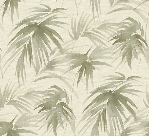 2964-87412 Darlana Sage Grasscloth Wallpaper