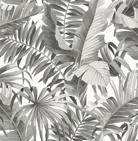 2969-24134 Alfresco Grey Tropical Palm Wallpaper