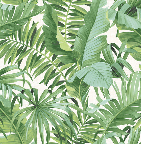 2969-24136 Alfresco Green Tropical Palm Wallpaper