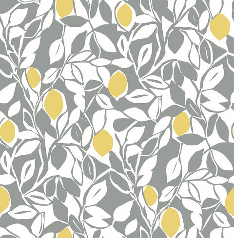 2969-26025 Loretto Grey Citrus Wallpaper
