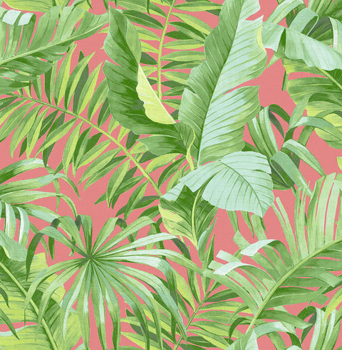 2969-26055 Alfresco Coral Tropical Palm Wallpaper