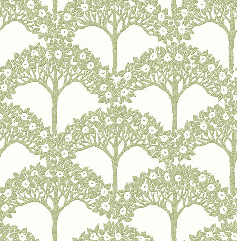 2970-26114 Dawson Green Magnolia Tree Wallpaper