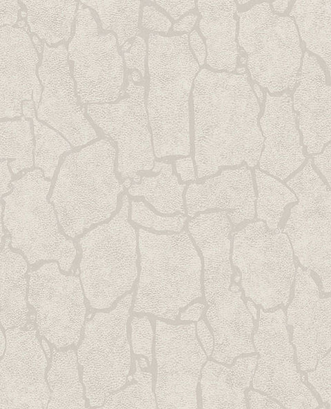 300530 Kordofan Bone Giraffe Wallpaper