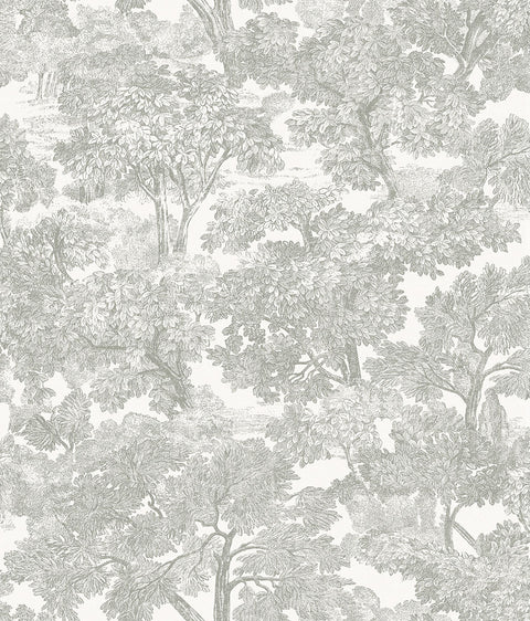 Spinney Grey Toile Wallpaper