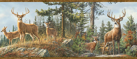 3118-48463B Whitetail Crest Multicolor Forest Border
