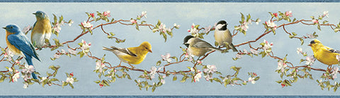 3118-48511B Songbird Multicolor Floral Trail Border