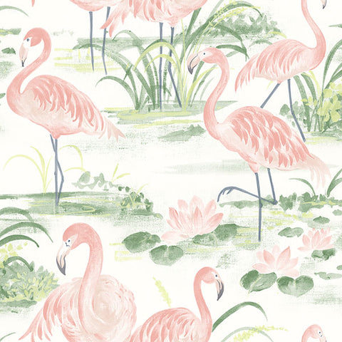 3120-13601 Everglades Coral Flamingos Wallpaper