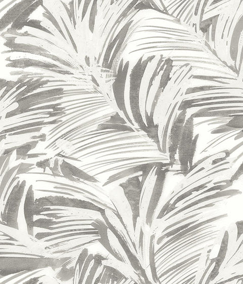 3120-13713 Chaparral Grey Fronds Wallpaper