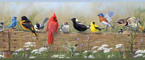3123-44671 Flock Multicolor Menagerie Border