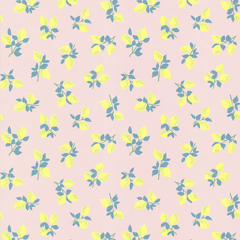 Citron Soft Pink Juicy Lemon Wallpaper