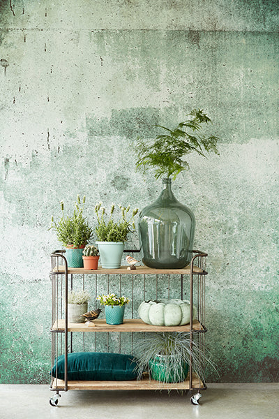 Resource Green Weathered Wall Mural