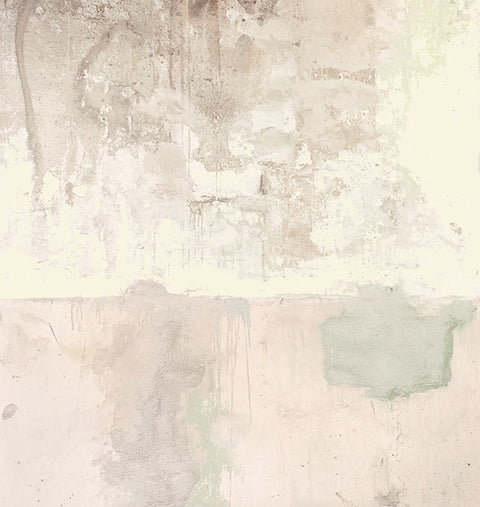 Resource Pale Pink Weathered Wall Mural