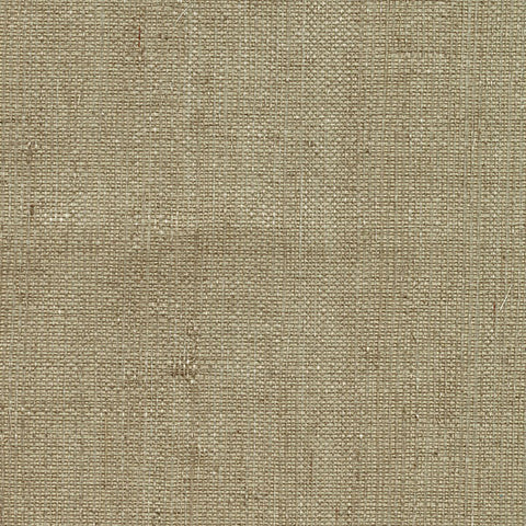 4018-0019 Ruslan Taupe Grasscloth Wallpaper